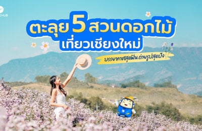 ตะลุย 5 สวนดอกไม้ที่เที่ยวเชียงใหม่ บรรยากาศสุดฟิน ถ่ายรูปสุดปัง