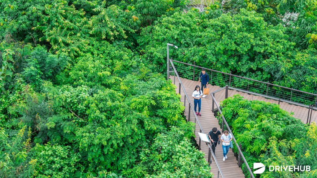 ที่เที่ยวกรุงเทพ - ศูนย์เรียนรู้ป่าในกรุง ปตท. (Forest Learning Center in the city of PTT)