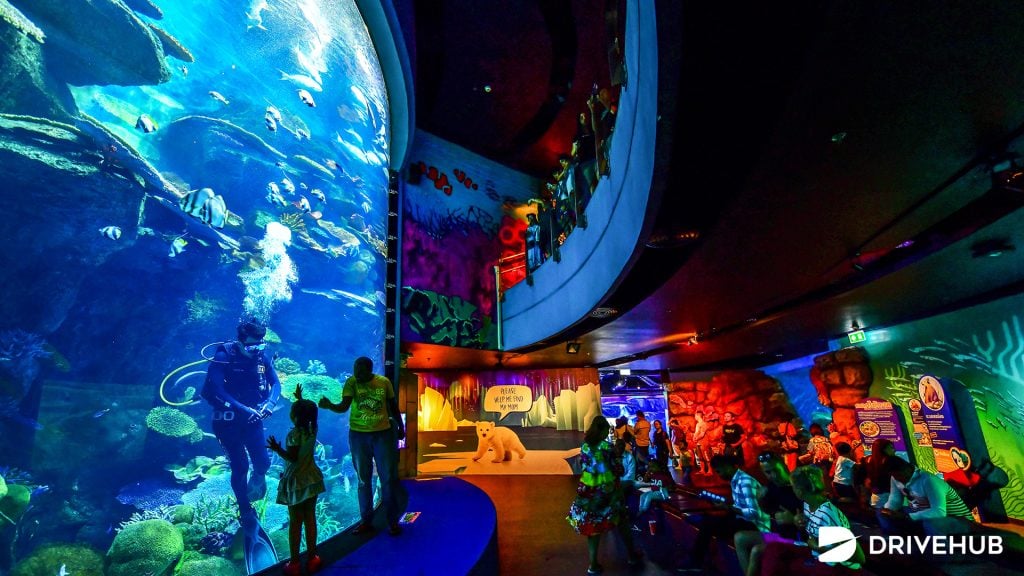 ที่เที่ยวกรุงเทพ - ซีไลฟ์ แบงคอก โอเชี่ยน เวิร์ล (Sea Life Bangkok Ocean World)