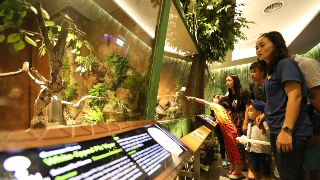 ที่เที่ยวกรุงเทพ - สยาม เซอร์เพนทาเรียม (Siam Serpentarium)