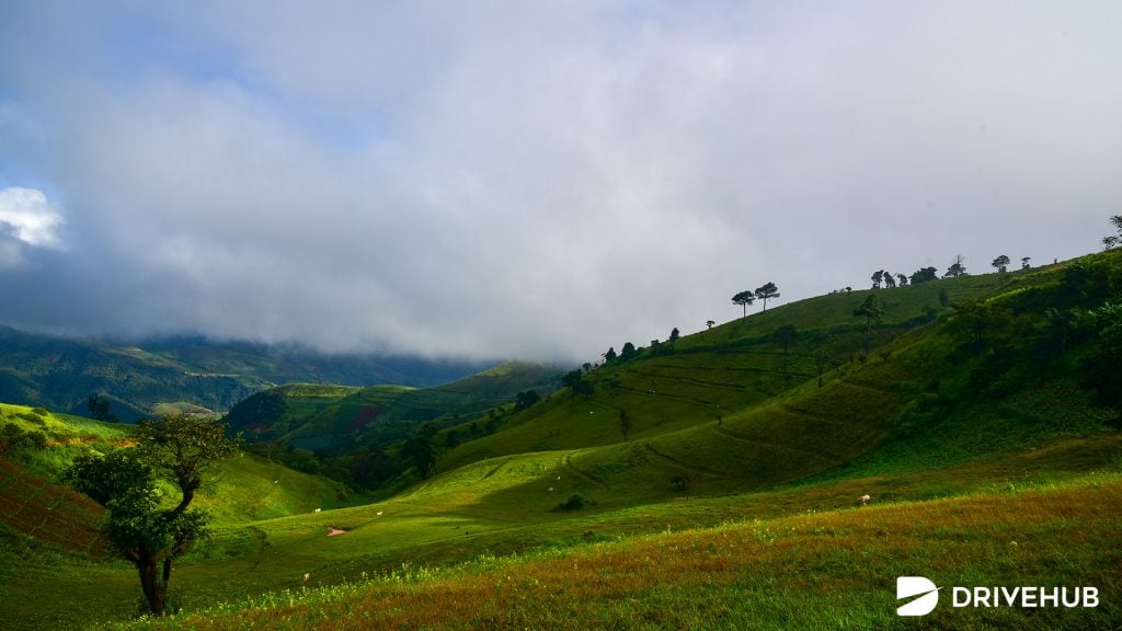ที่เที่ยวหน้าฝน - ดอยแม่โถ จ.เชียงใหม่ (Doi Mae Tho)