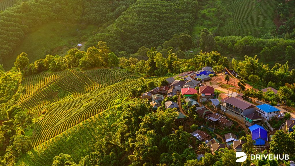 ที่เที่ยวเชียงราย ดอยแม่สลอง (Doi Mae Salong)