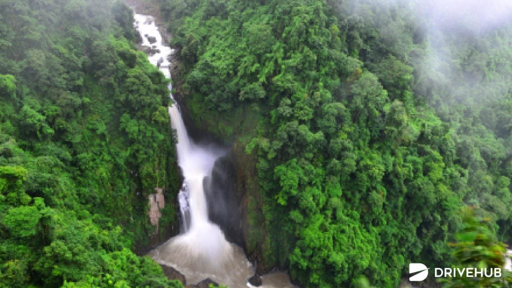 ที่เที่ยวใกล้กรุงเทพ - อุทยานแห่งชาติเขาใหญ่ จ.นครราชสีมา (Khao Yai National Park)