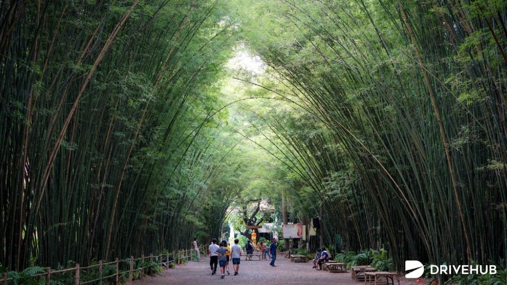 ที่เที่ยวใกล้กรุงเทพ - อุโมงค์ป่าไผ่ จ.นครนายก (Wat Chulabhorn Wanaram)