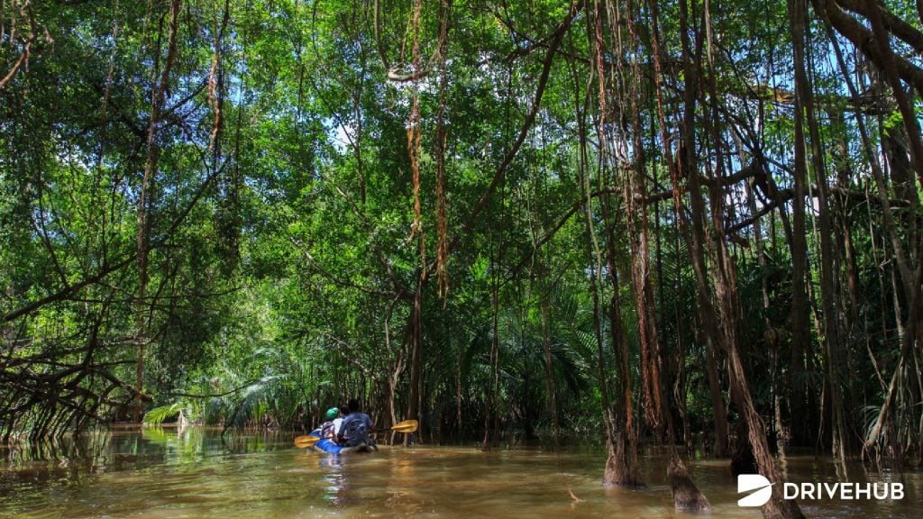 ที่เที่ยวธรรมชาติ - คลองสังเน่ห์ จ.พังงา (Khlong Sang Ne)

