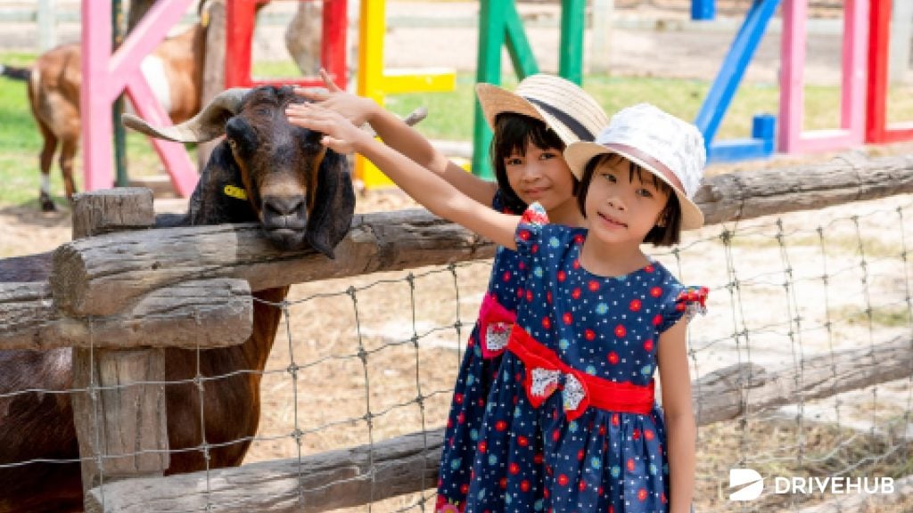 ที่เที่ยวขอนแก่น - สวนสัตว์ขอนแก่น (Khon Kaen Zoo)