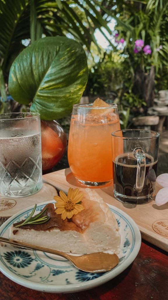 คาเฟ่ขอนแก่น - พันธุ์ไม้คาเฟ่ ขอนแก่น (Punma Cafe)
