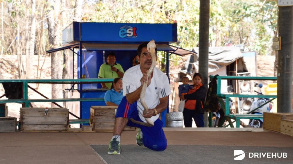 ที่เที่ยวขอนแก่น - หมู่บ้านงูจงอาง (King Cobra Village)