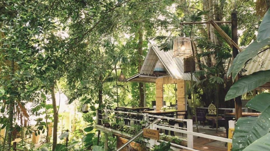 คาเฟ่กระบี่ - บ้านต้นไม้ คาเฟ่ กระบี่ (Baan Ton Mai Cafe' Krabi Thailand)