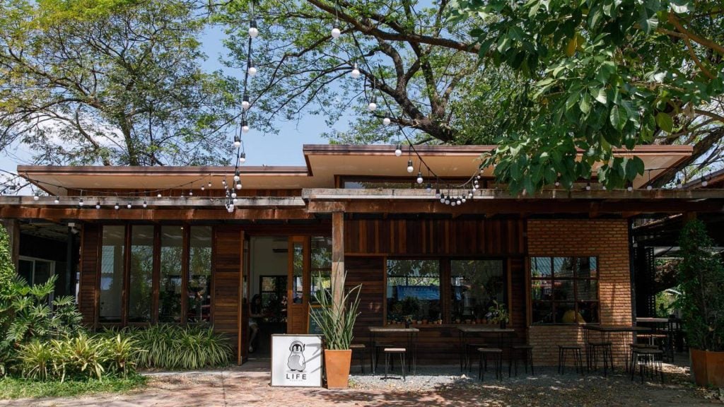 คาเฟ่อุบลฯ - LIFE Roaster
