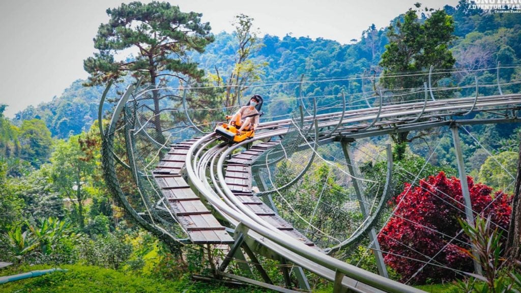 ที่เที่ยวม่อนแจ่ม - โป่งแยงจังเกิ้ล โคสเตอร์และซิปไลน์ (Pongyang Jungle Coaster & Zipline)