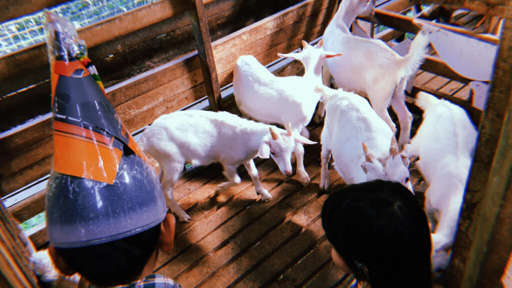 ที่เที่ยวนครศรีธรรมราช - สีดิน (Studio & FarmStay)
