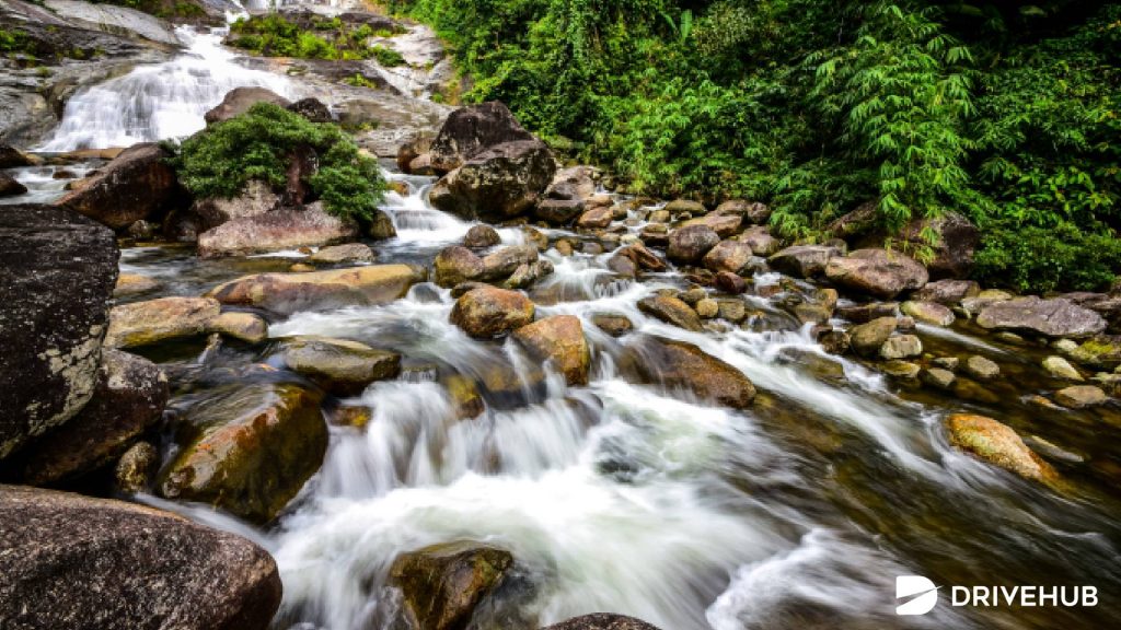 ที่เที่ยวนครศรีธรรมราช - น้ำตกท่าแพ (Tha Phae Waterfall)
