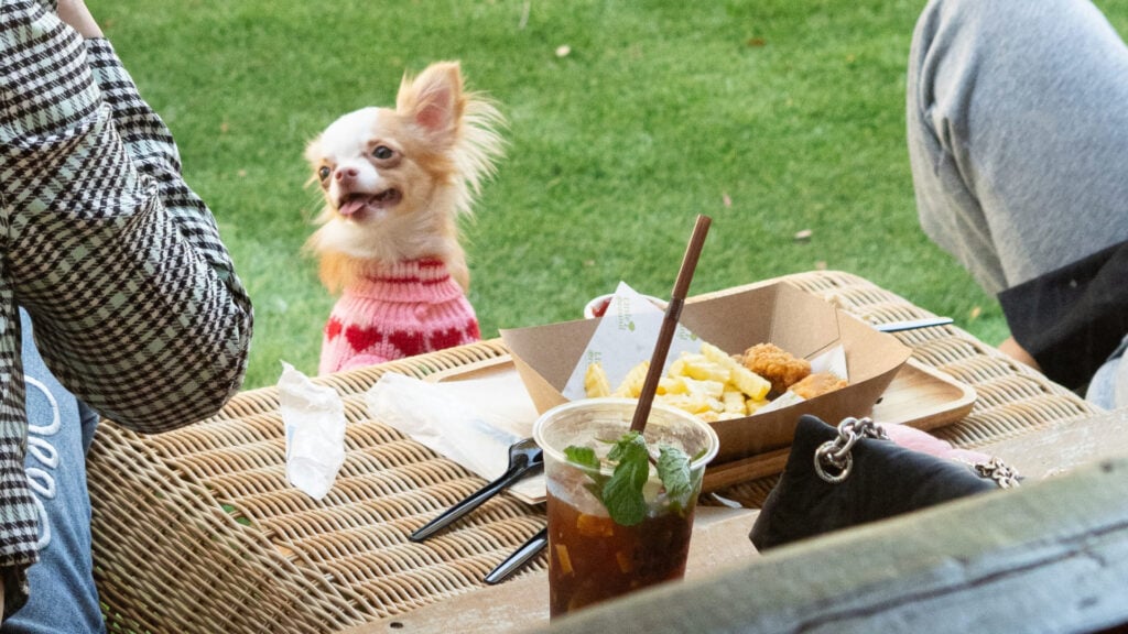 คาเฟ่อุดรฯ - Little Ground common space