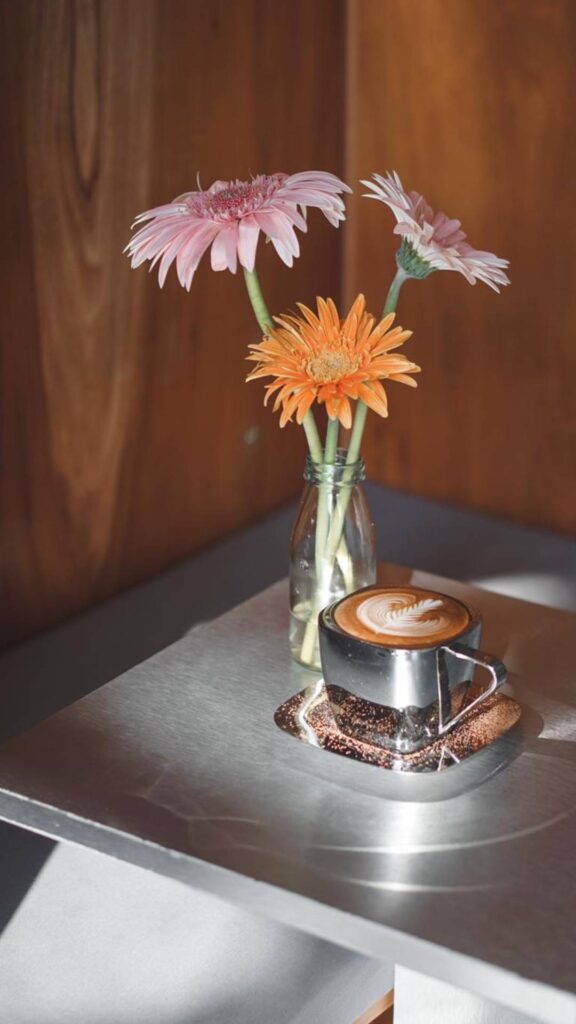 คาเฟ่เชียงใหม่ - ยังโฟล์ค (Youngfolk)