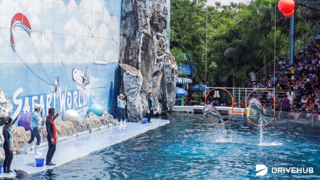 ที่เที่ยวปีใหม่ - ซาฟารีเวิล์ด กรุงเทพฯ (Safari World Bangkok)