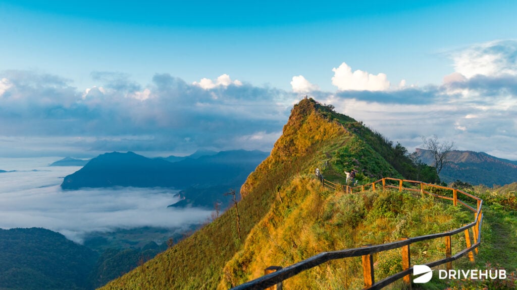 ที่เที่ยวปีใหม่ - ภูชีฟ้า เชียงราย (Phu Chi Fa)