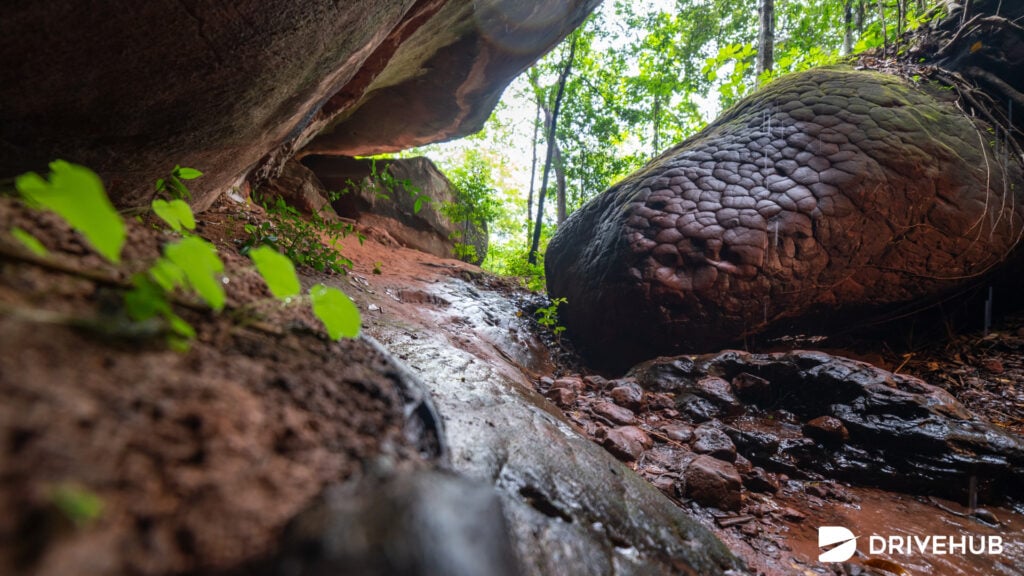 ที่เที่ยวปีใหม่ -  ถ้ำนาคา บึงกาฬ (Naka Cave)