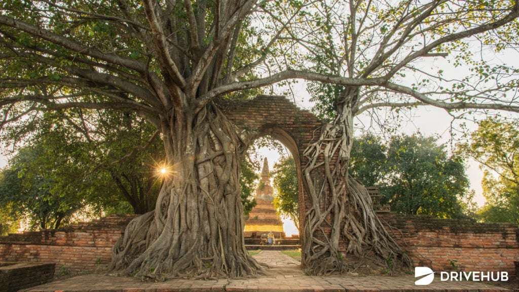 วัดอยุธยา - วัดพระงาม - ประตูแห่งกาลเวลา (Wat Phra Ngam - Portal of Time)