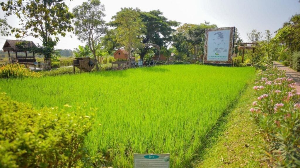 ที่เที่ยวอยุธยา - ศูนย์การเรียนรู้เศรษฐกิจพอเพียงบ้านของพ่อ (Bann Khorng Phor Sufficiency economy Learning Center)