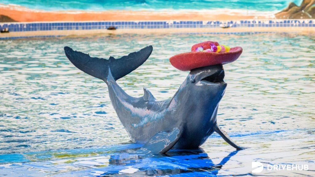 ที่เที่ยวจันทบุรี - โอเอซีส ซีเวิลด์ (Oasis Sea World)  