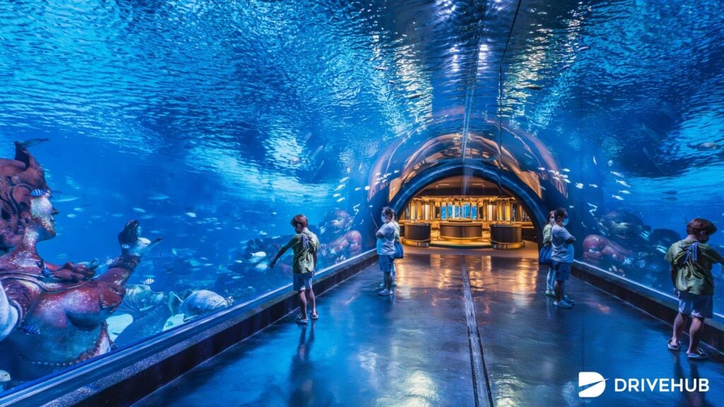 ที่เที่ยวภูเก็ต - อควาเรีย ภูเก็ต (Aquaria Phuket)