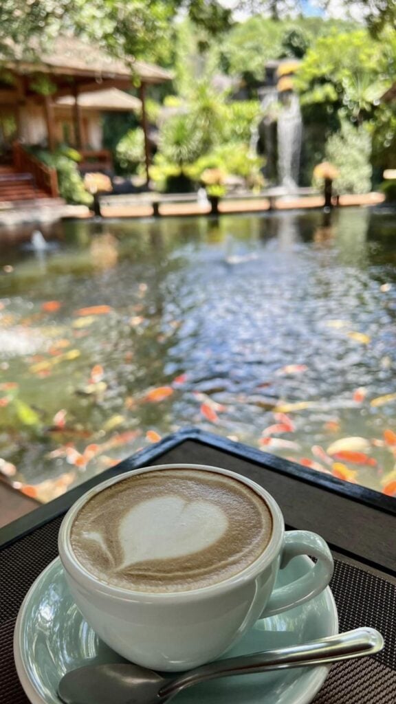 คาเฟ่เชียงราย - คาร์ปคาเฟ่ เชียงราย (Carp Cafe at Chayana Resort)