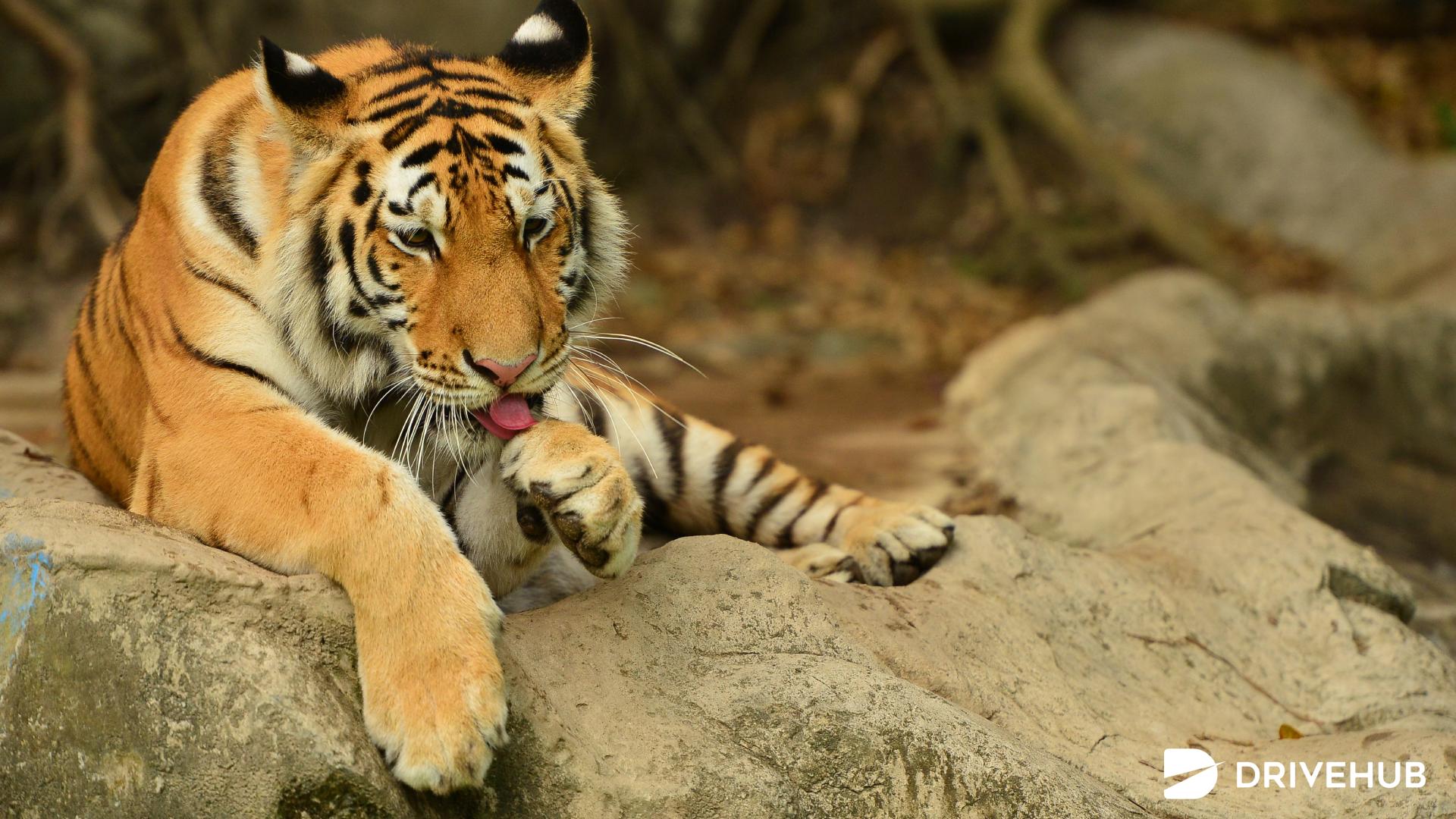 ที่เที่ยวชลบุรี - ศิริพาร์ค แอนด์ ซู (Siri Park and Zoo by Sriracha Zoo)
