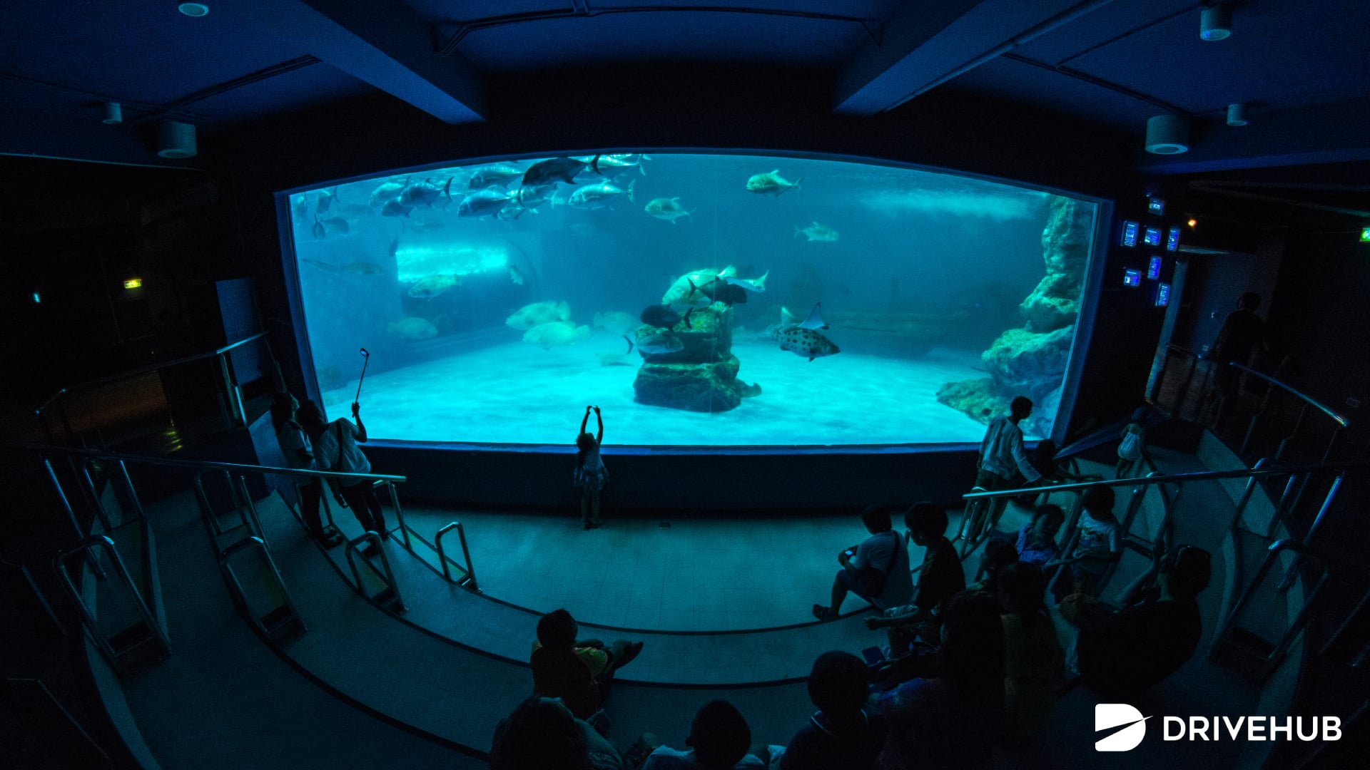 ที่เที่ยวชลบุรี - สถาบันวิทยาศาสตร์ทางทะเล มหาวิทยาลัยบูรพา (Institute Of Marine Science, Burapha University)