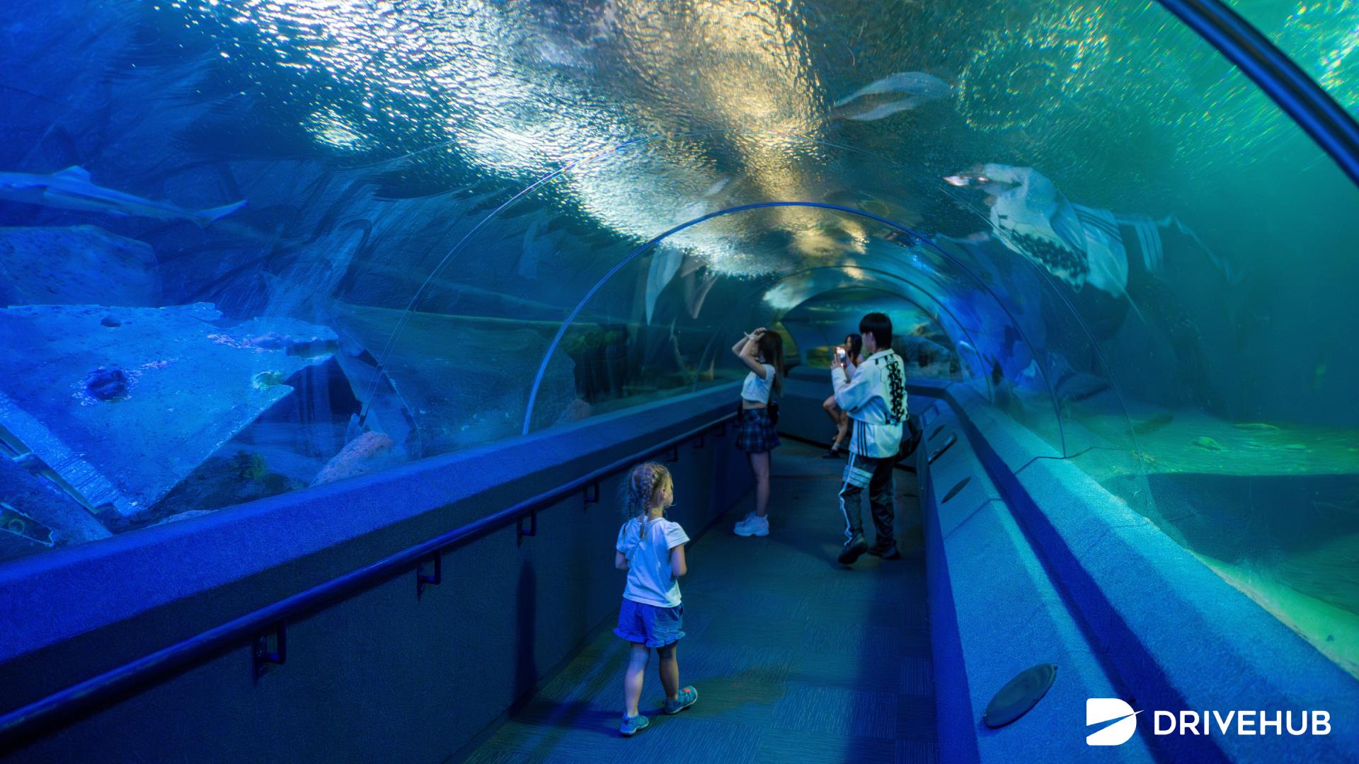 ที่เที่ยวชลบุรี - อันเดอร์วอเตอร์ เวิลด์ พัทยา (Underwater World Pattaya)  