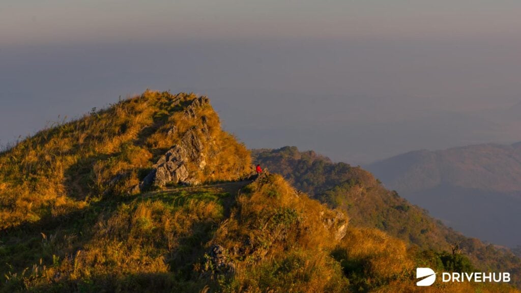 ที่เที่ยวน่าน - ดอยผาผึ้ง (Doi Pha Phueng)