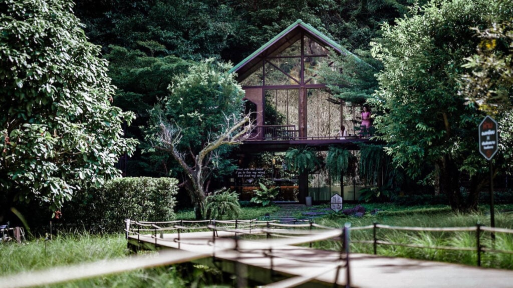 คาเฟ่กระบี่ - Into the forest