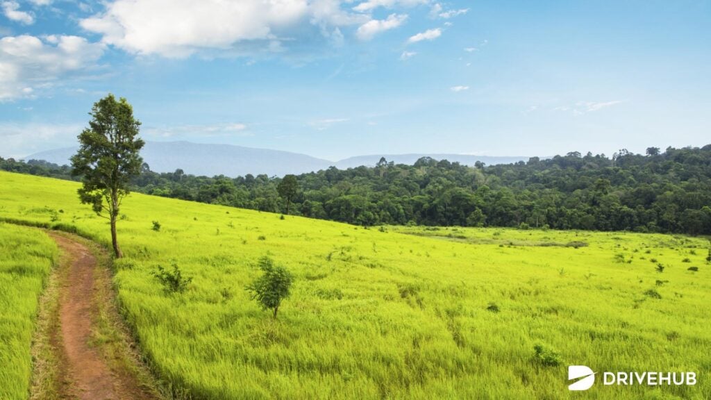 ที่เที่ยวเขาใหญ่ - อุทยานแห่งชาติเขาใหญ่ (Khao Yai National Park)
