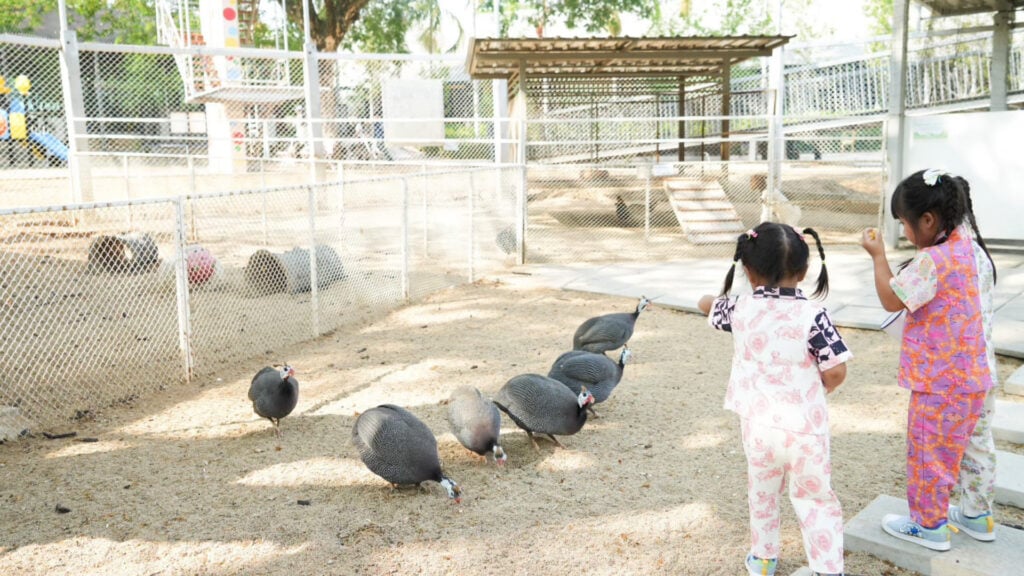 ที่เที่ยวเขาใหญ่ - เขาใหญ่แฟนตาซีรีสอร์ท (Khaoyai Fantasy Resort)