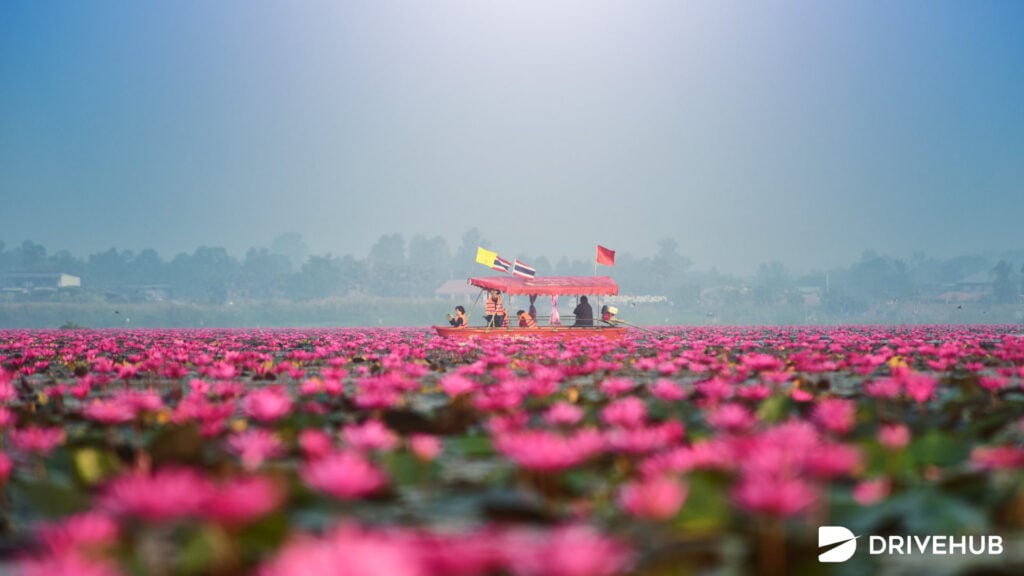 ที่เที่ยวเมืองรอง - ทะเลบัวแดง (Red Lotus Kumphawapi)
