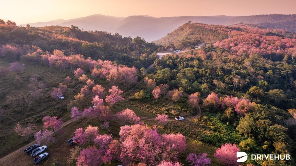 ที่เที่ยวเมืองรอง - ภูลมโล จังหวัดเลย (Phu Lom Lo)