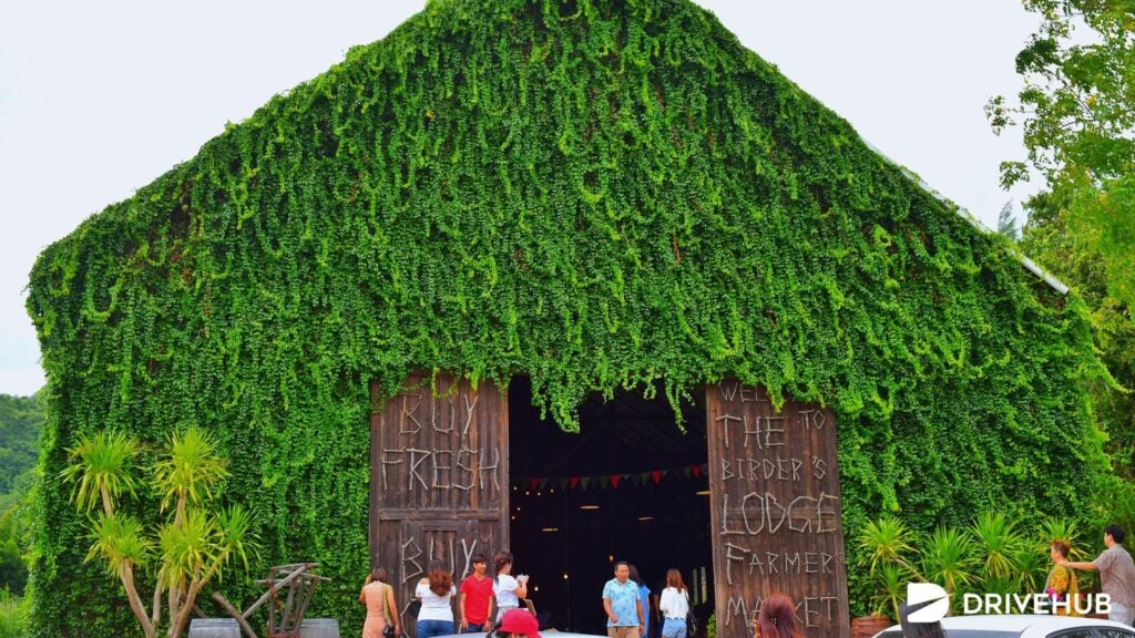 ที่เที่ยวเขาใหญ่ - เดอะ เบอร์เดอร์ส ลอดจ์ คาเฟ่ (The Birder’s Lodge)  
