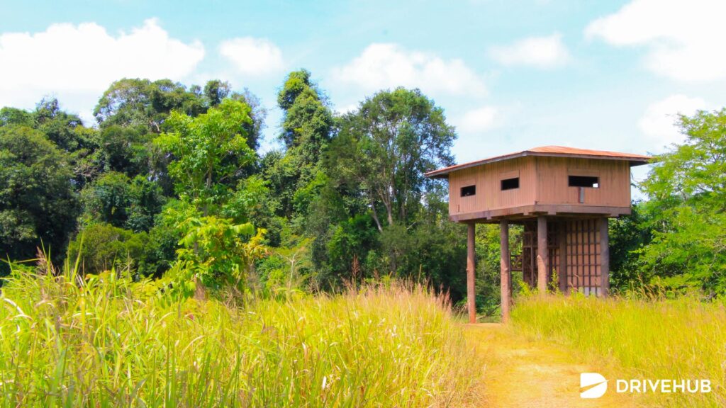 ที่เที่ยวเขาใหญ่ - ที่ส่องสัตว์หนองผักชี (Nong Phak Chi Wildlife Watching Tower)  