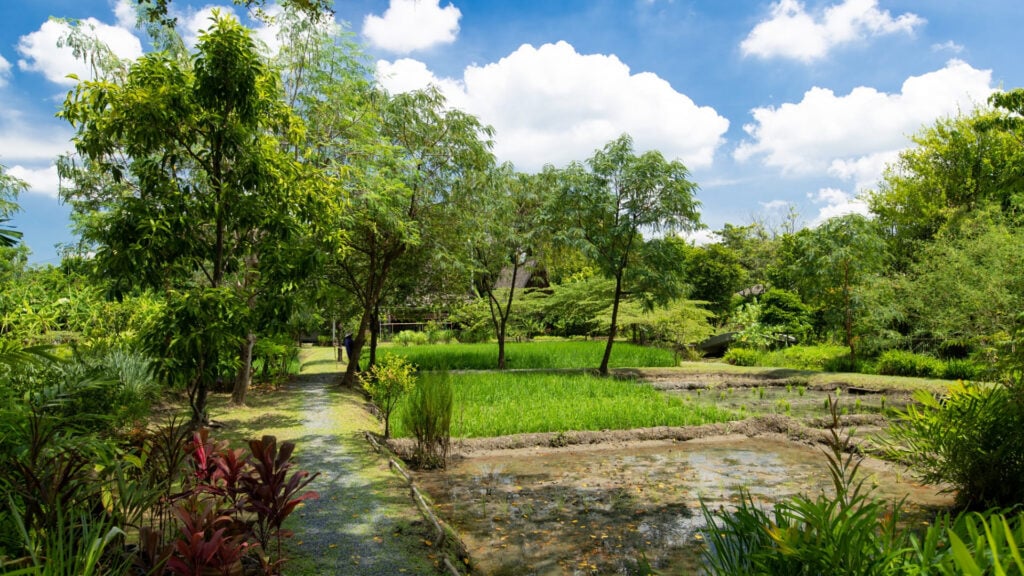 ที่เที่ยวนครปฐม - สวนสามพราน (Suan Sampran)