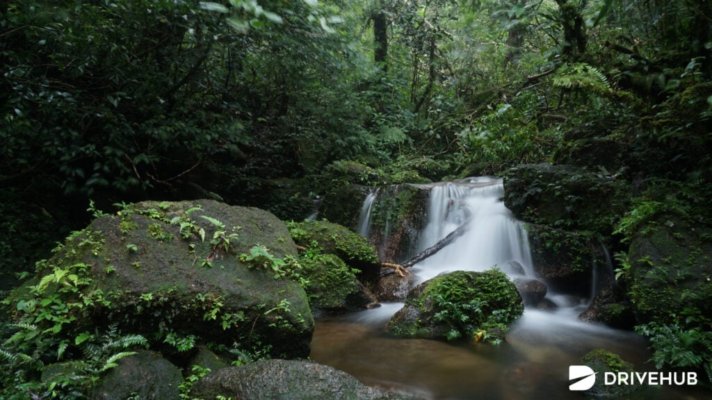 ที่เที่ยวนครศรีธรรมราช - อุทยานแห่งชาติเขาหลวง (Khao Luang National Park)  
