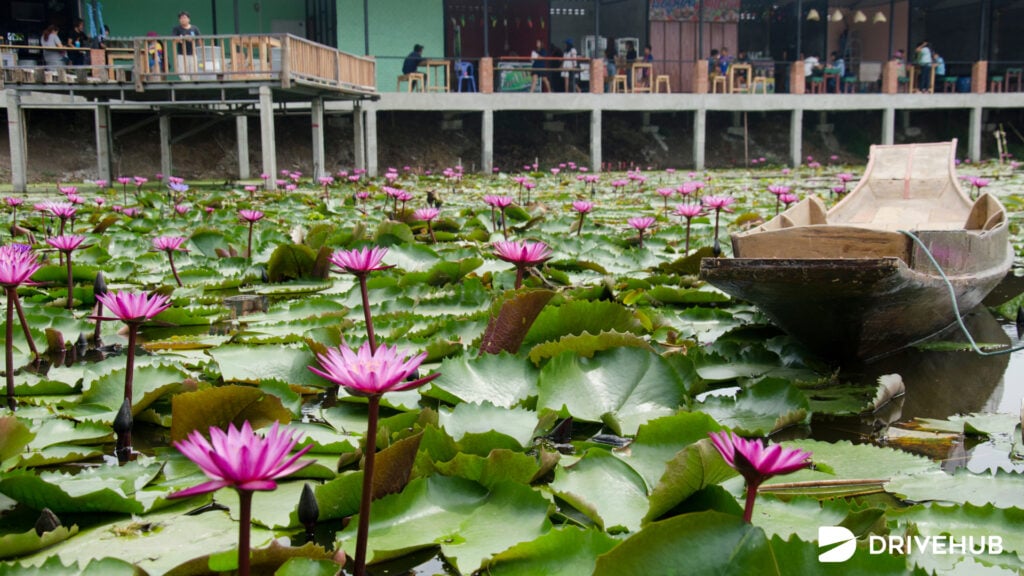 ที่เที่ยวนครปฐม - ตลาดน้ำทุ่งบัวแดง (Red Lotus Floating Market)  