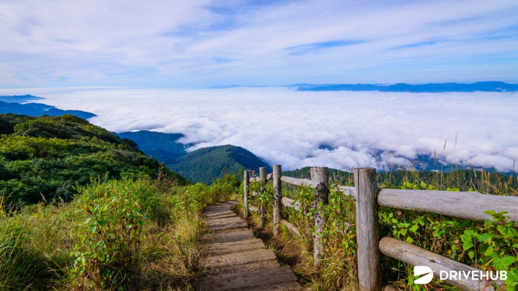 ที่เที่ยวดอยอินทนนท์ - กิ่วแม่ปาน (Kew Mae Pan Nature Trail)