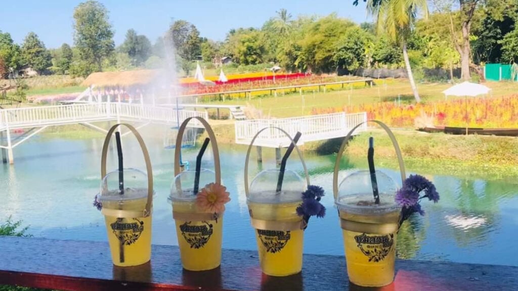 คาเฟ่อุดรฯ - สวนดอกไม้พิจิตรา & ชมสวนคาเฟ่ (Phichitra Flower Garden & Chom Suan Cafe)
