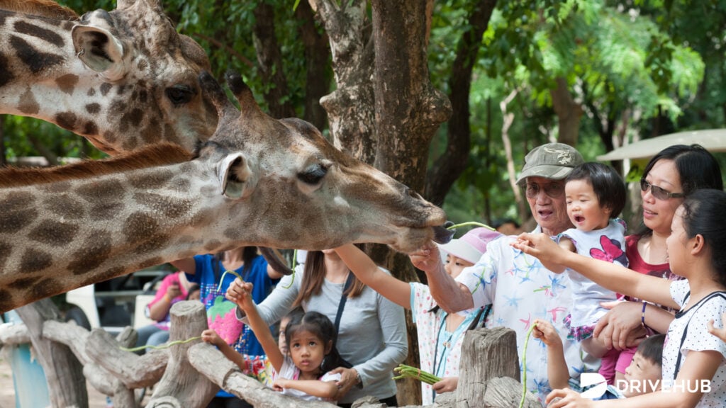 ที่เที่ยวโคราช - สวนสัตว์นครราชสีมา (Nakhon Ratchasima Zoo)
