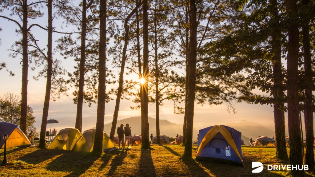 ที่เที่ยวหน้าหนาว - ดอยผ้าห่มปก จ.เชียงใหม่ (Doi Pha Hom Pok National Park)