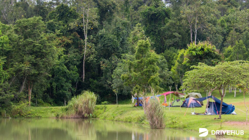 จุดกางเต็นท์ - จุดกางเต็นท์ ลานกางเต็นท์ลำตะคอง (Lam Ta Khong Campground)