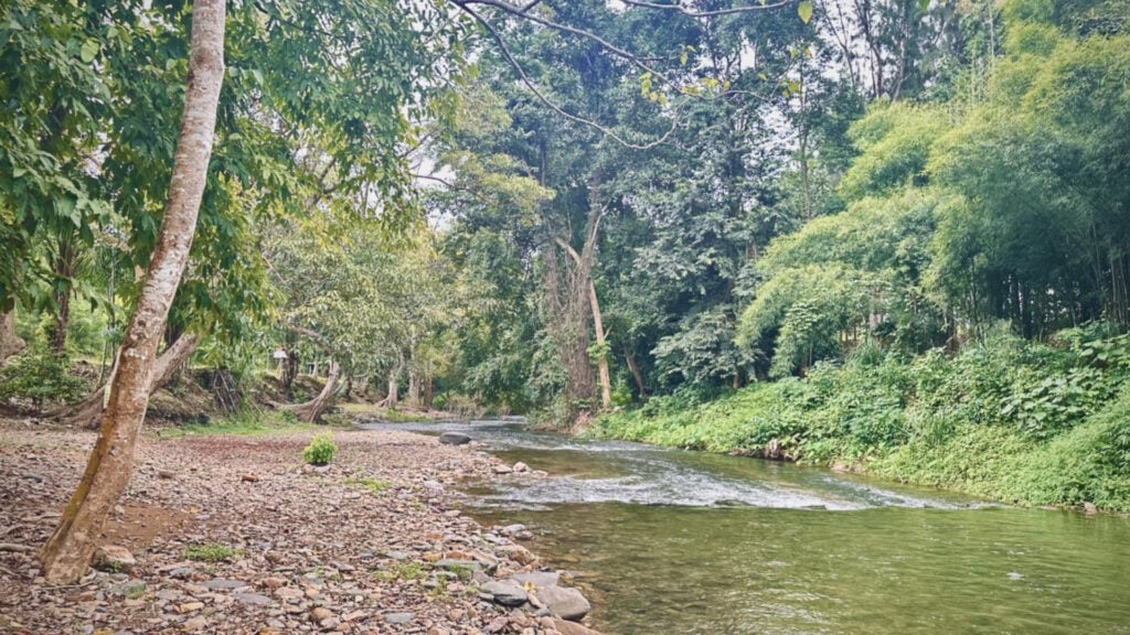 จุดกางเต็นท์ - ลานกางเต็นท์ ต้นน้ำ โฮมสเตย์ (Ton Numchan Homestay)