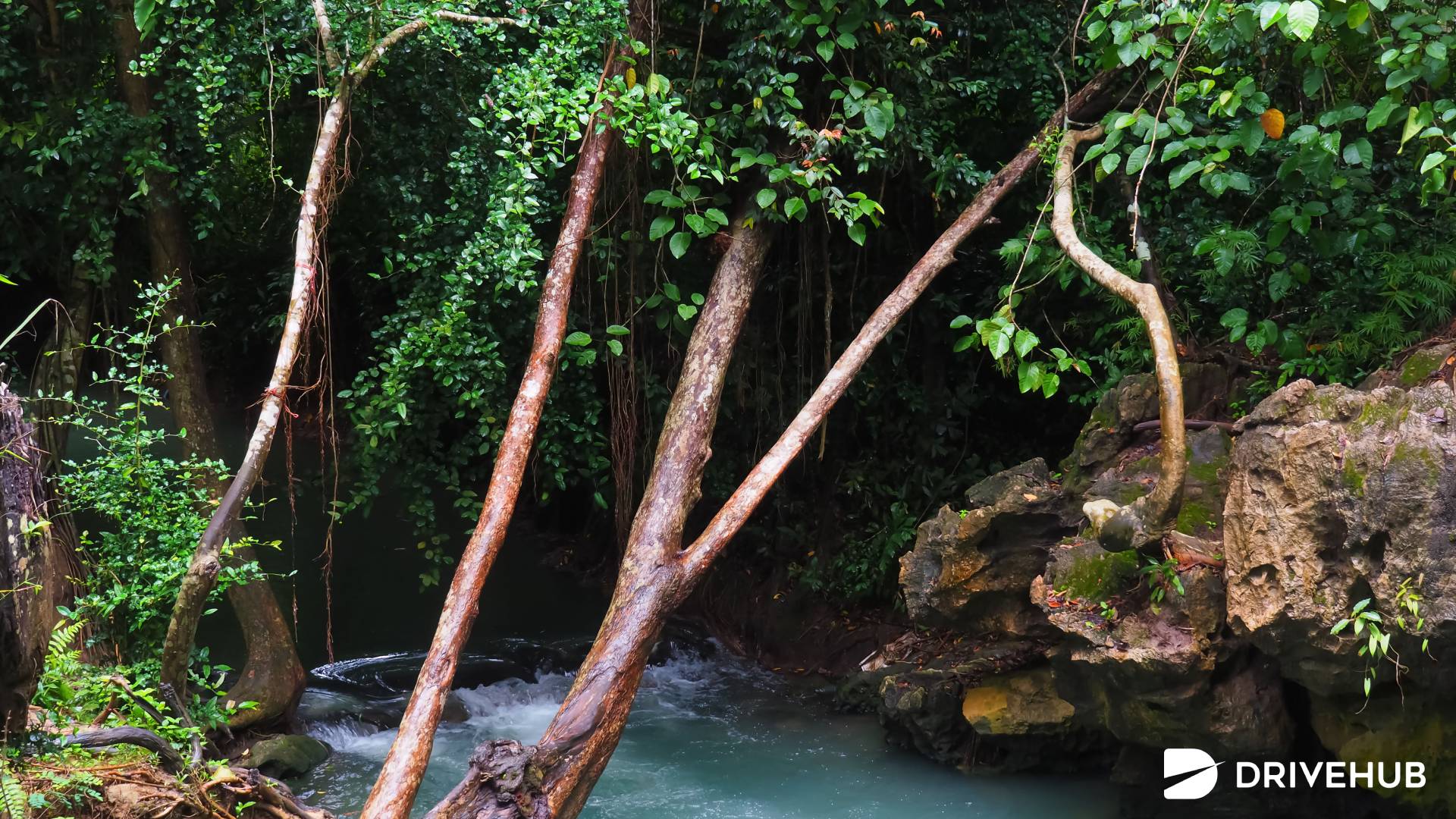 ที่เที่ยวสุราษฯ - คลองน้ำใส (Khlong Nam Sai)  