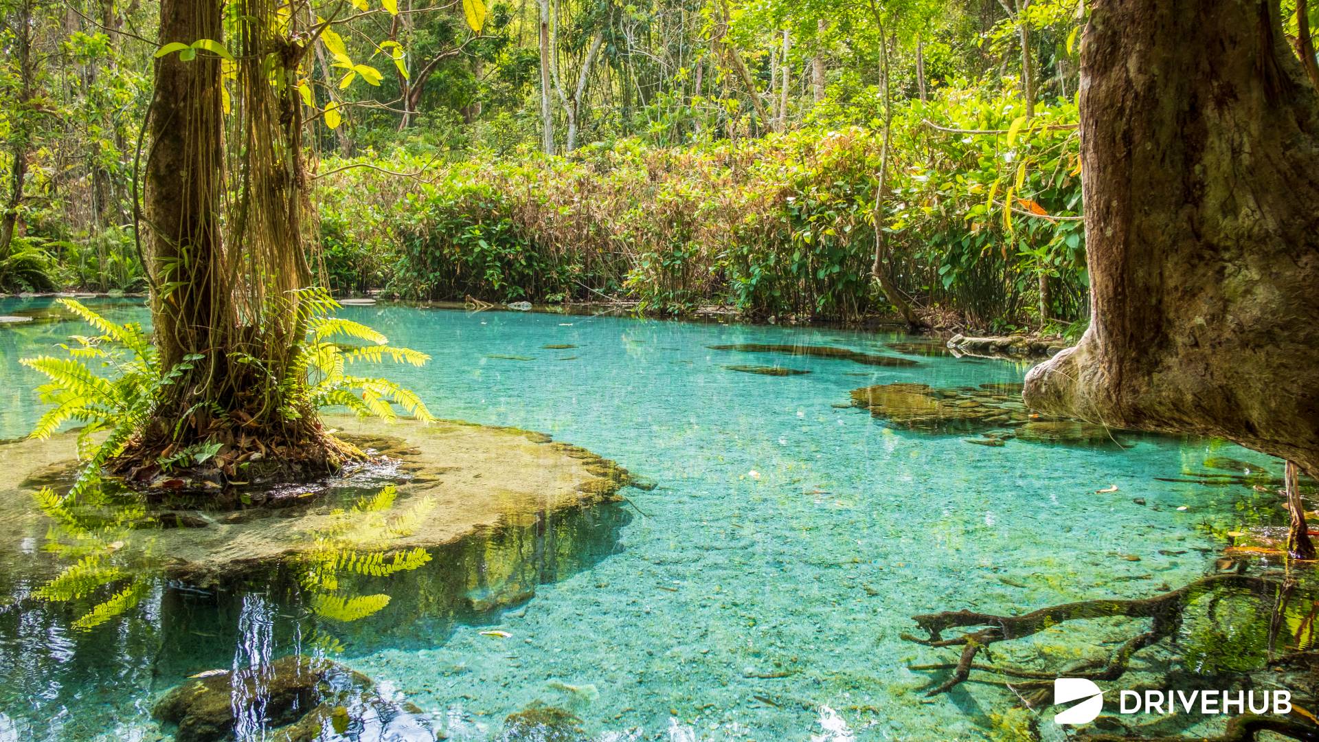 ที่เที่ยวสุราษฯ - ป่าต้นน้ำบ้านน้ำราด (Ban Nam Rad)  