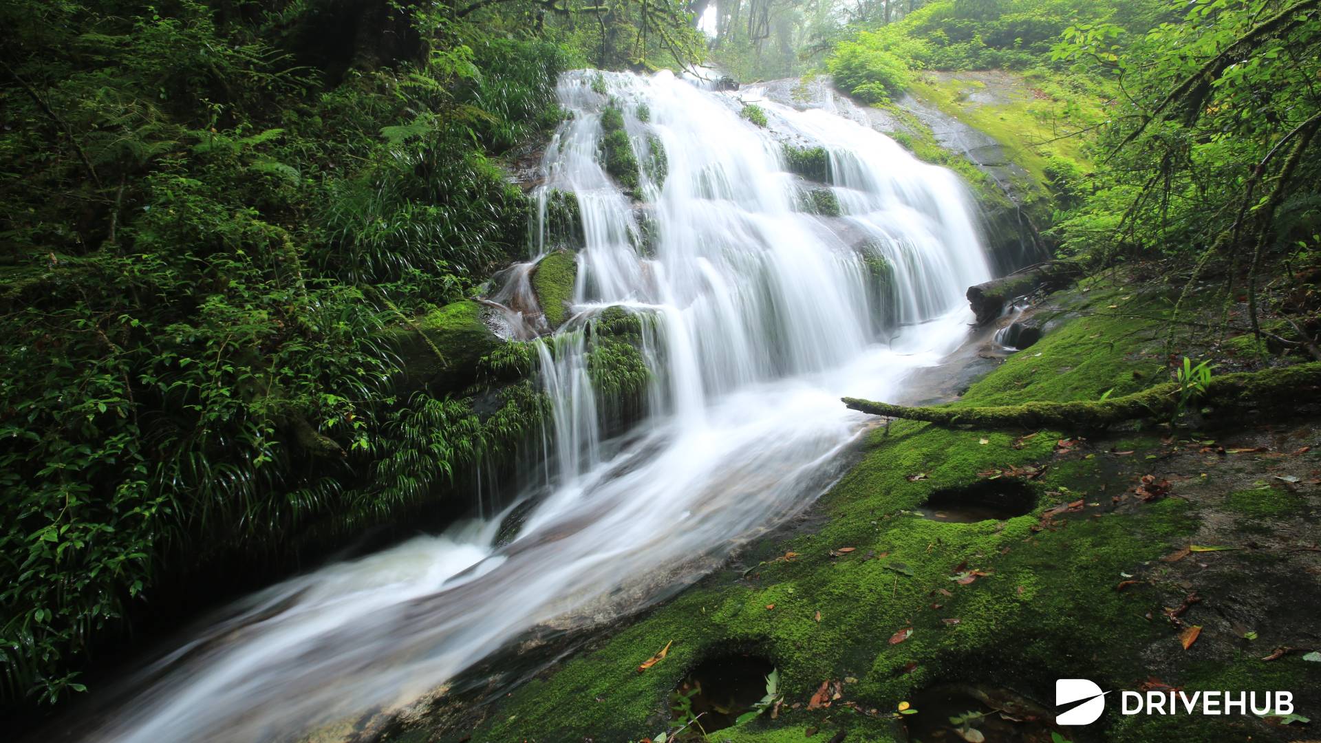 ที่เที่ยวสุราษฯ - น้ำตกธารเสด็จ (Namtok Than Sadet National Park)  